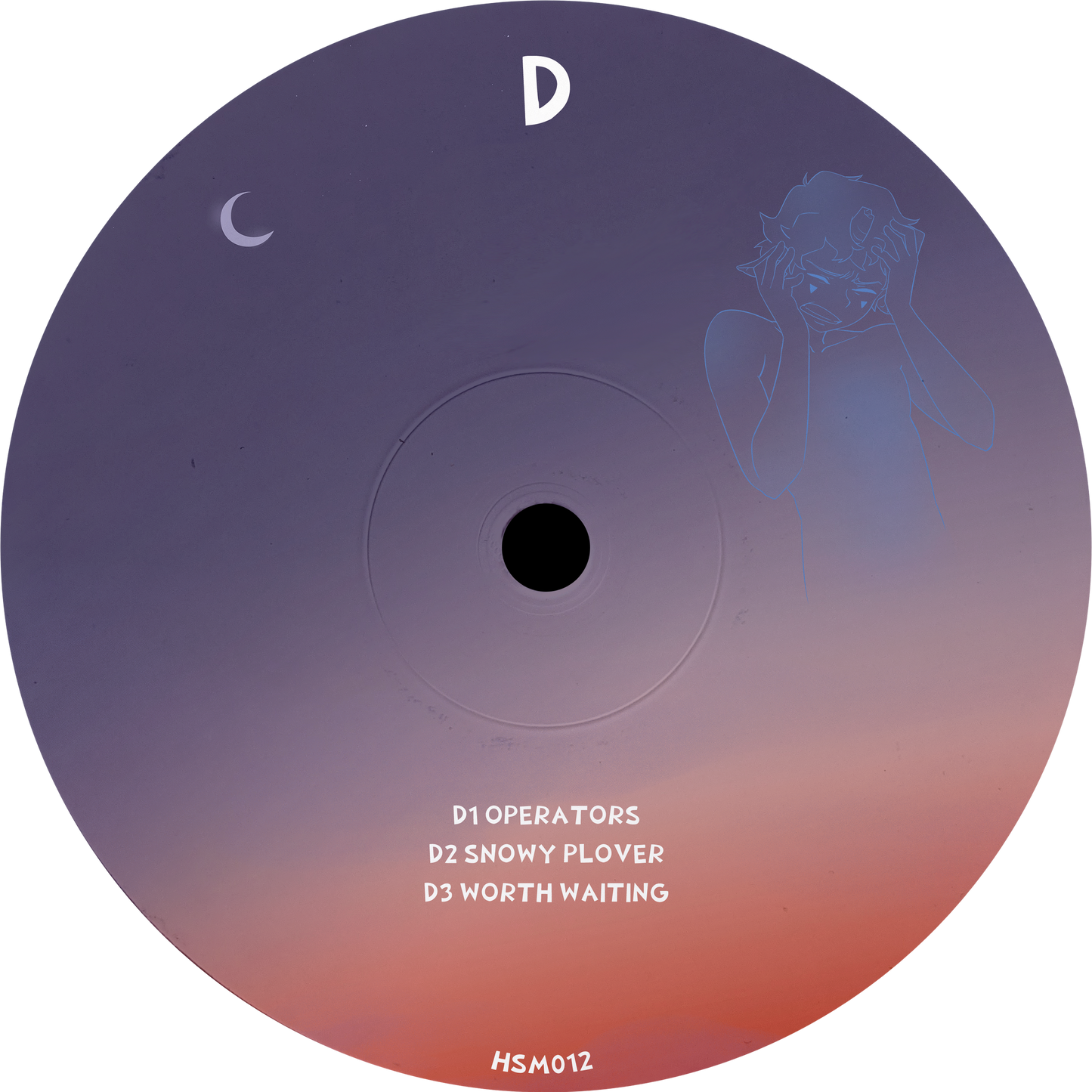 HSM012 MARC BRAUNER - COMPANIONS LP